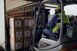 Palang Merah Internasional nilai suara China penting dalam kemanusiaan