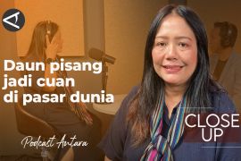 Daun pisang jadi cuan di pasar dunia (1)
