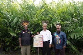 West Papua can set example in palm oil downstreaming