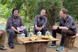 Indonesian, Norwegian ministers observe orangutans in Gunung Leuser