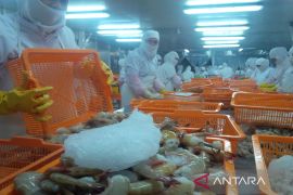 LIPSUS - Sayed Jafar siapkan perikanan sumber PAD