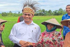 Menteri Pertanian pacu produksi pertanian Monokwari lewat pompanisasi-mekanisasi