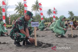 Satgas TMMD Kodim Nagan Raya tanam 500 Mangrove di pesisir pantai, ini tujuannya