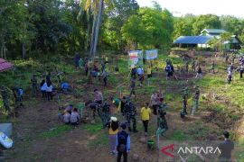 TMMD Kodim HSU-BLG tanam pohon untuk kelestarian lingkungan