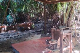 Negeri Rutong Ambon kembangkan ekowisata sagu jaga ketahanan pangan