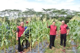Kunjungi Lahan Binmas Pioner, Kapolda apresiasi kolaborasi SPN Polda Babel dan Poktan manfaatkan lahan kosong