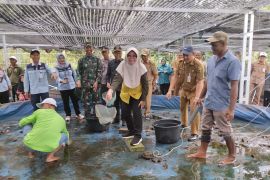 Pemkab Tabalong libatkan warga Desa Pugaan kembangkan benih ikan gabus