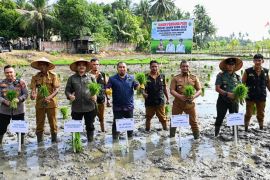 Pj Bupati: Tanam serentak tingkatkan ketahanan pangan