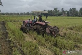 Pembinaan wirausaha bagian penting regenerasi petani