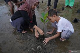Penjaga Laut tanam 150 bibit mangrove di Mamala Maluku