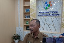 Pemprov Kepri: Kenaikan harga tiket kapal pengaruhi jumlah wisman