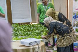 Cetak petani milenial di Cilegon, KSP beri pelatihan budidaya hidroponik