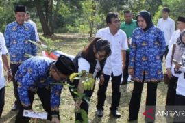 Kantah Inhu tanam pohon di RTH di Hari Lingkungan Hidup Sedunia