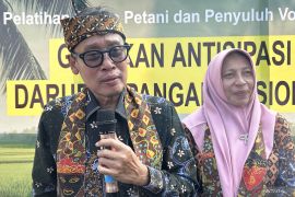 Kementan RI optimalkan peningkatan produksi beras