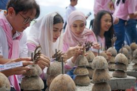 Pemkab Trenggalek gelar festival dan konservasi bawah laut di Teluk Prigi