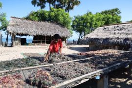 OJK dan ILO jalankan program literasi keuangan di Sumba Timur NTT