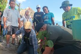 Lembata inisiasi penanaman 1.000 bakau dan malapari