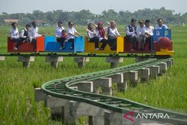 Warga desa kembangkan lahan pertanian sawah menjadi destinasi wisata kereta Lokamerta