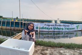 Kembangkan udang vana memajukan petambak tradisional