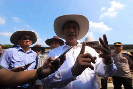 Mentan: Ketersediaan hewan kurban Idul Adha 2024 surplus 88 ribu ekor