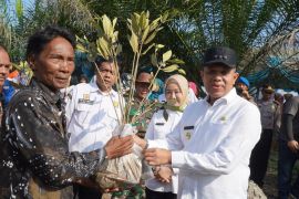Pj Bupati Langkat ajak warga jaga hutan mangrove