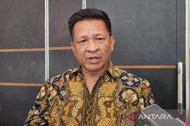 Apindo dukung pertumbuhan ekonomi hijau Papua