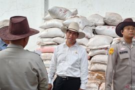 Mentan Andi Amran Sulaiman jamin stabilitas pasokan dan harga pangan