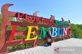 Pemkab Pamekasan manfaatkan pesisir jadi pusat rekreasi mangrove