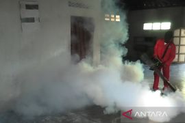 Kasus demam berdarah dengue di  Temanggung capai 1.023