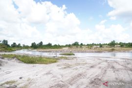 Pemerintah tetapkan tim percepatan reklamasi lahan kritis di Bangka Belitung