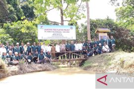 37 ribu bibit pohon langka ditanam di DAS Siak