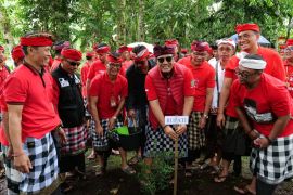 Bupati Tabanan ajak rakyat merawat pertiwi dengan menanam pohon