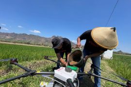 INDICO perkuat ketahanan pangan nasional lewat ekosistem digital