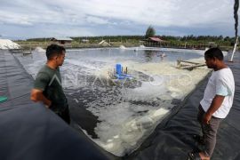 DKP minta PLN stabilkan listrik untuk kawasan industri perikanan Lampulo