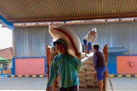 Bulog Jabar serap hasil panen padi petani sekitar 183.000 ton hingga awal Juni