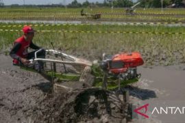 Dinas berharap bantuan alsintan harus tingkatkan produksi padi di Purwakarta
