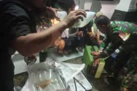 TNI AL gagalkan upaya penyelundupan 24 ribu benih bening lobster