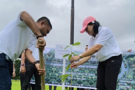 AP I Bandara Pattimura Ambon tanam 300 pohon wujudkan dalam rangka gerakan "InJourney Green"