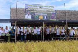 Pj Bupati HSU: Teknologi padi apung solusi atasi masalah petani
