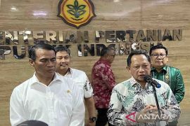 Mendagri: Presiden Jokowi "Bapak Pengendali Inflasi"