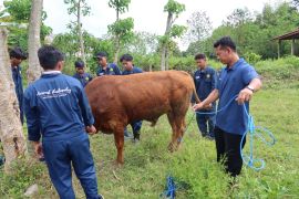 Pakar Unej beri tips dan trik memilih hewan kurban yang baik