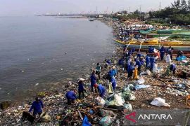 Sejarah Hari Laut Sedunia, momentum mengenang kehidupan di laut
