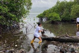 Lakukan pembersihan sampah, The Mulung kumpulkan sampah 2,5 ton di Pantai Lateri Ambon