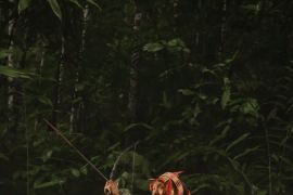 Menjelajah surga wisata Mentawai