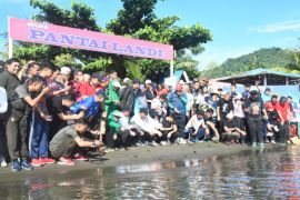 Gubernur Sulbar melepas 65 tukik jaga kelestarian lingkungan