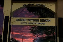 RPH Bukittinggi perpanjang Sertifikasi Halal