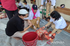 Dokter: Segera kuliti kambing kurban untuk bantu kurangi perengus
