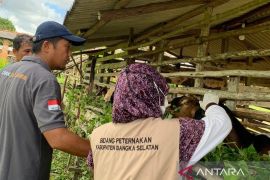 Stok hewan kurban di Bangka Selatan dipastikan aman dan cukup