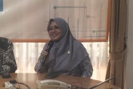 Komnas HAM: Festival HAM ajang memberikan kritik dengan cara sehat