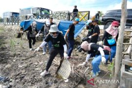 Srikandi PLN Babel ambil bagian menjaga kelestarian lingkungan